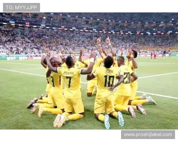 卡塔尔世界杯用球的比赛表现与裁判判罚关系探讨