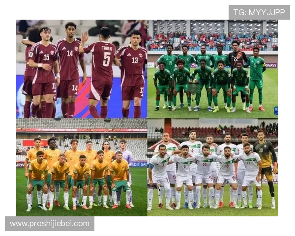 2026年世界杯48强名单出炉,详细解读各参赛国家的晋级之路与战力分析