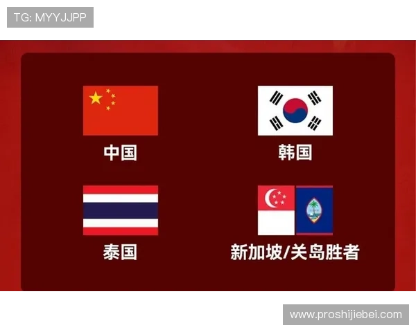 2026年世界杯门票官网购票指南详细解析与最新流程介绍