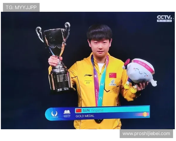 深入分析世界杯决赛中的关键战术与明星球员表现